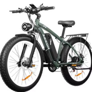 Elektrische fietsen